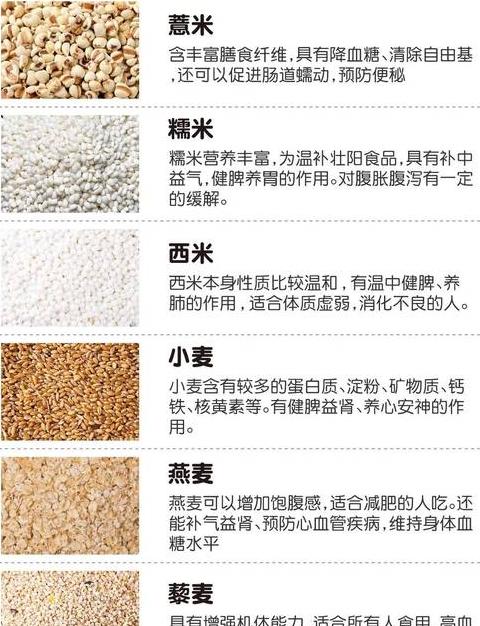大米、小米、水稻：三者有何区别？