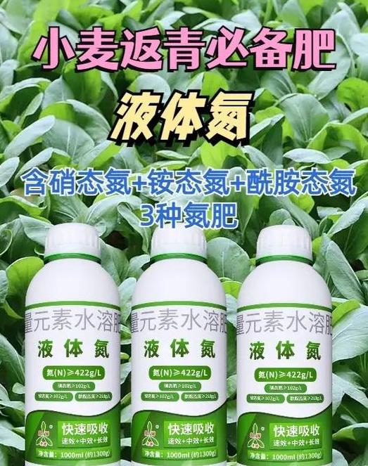 小麦返青期管理技巧及磷酸二氢钾喷施指南