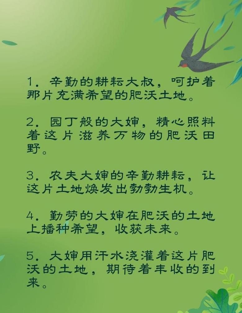 土壤耕作方法详解：基本耕作与改良技巧