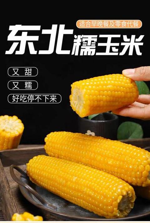 糯玉米生长期及种植要点解析