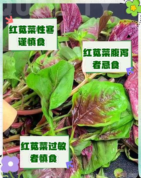 寒性体质者蔬菜挑选指南：哪些不宜多吃