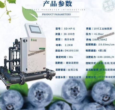 大棚蓝莓种植技术及盈利分析