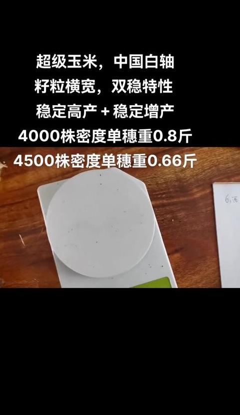 玉米容重低于650克每升拒收原因解析