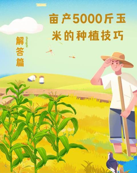 种下什么，收获什么：选择你的生命果实