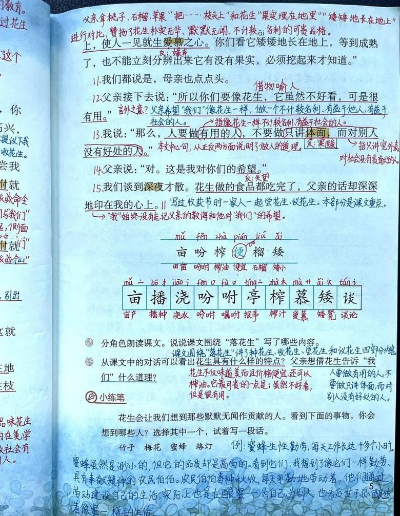 落花生五年级上册课文深度解析与批注