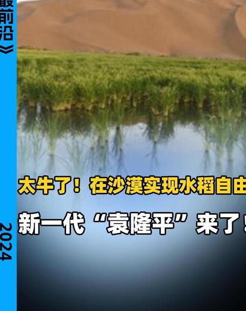 沙漠种水稻水从哪里来