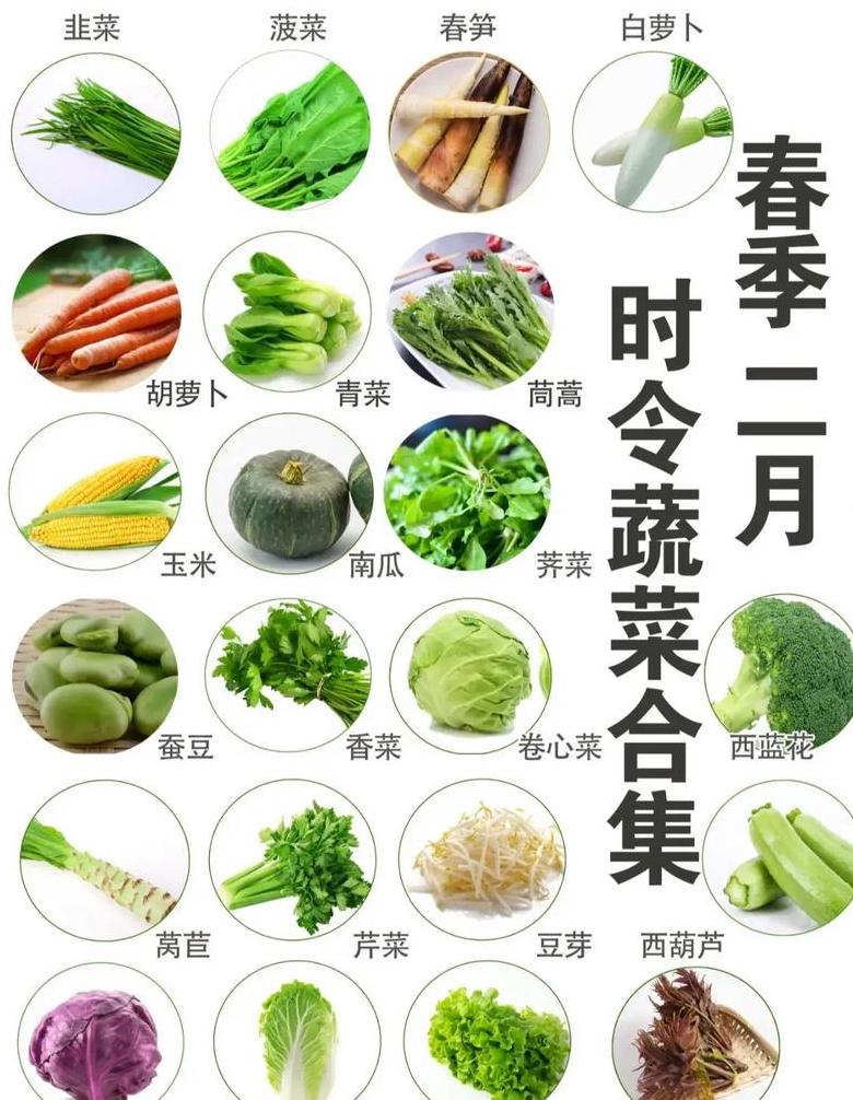 时令蔬菜种类及营养价值全解析
