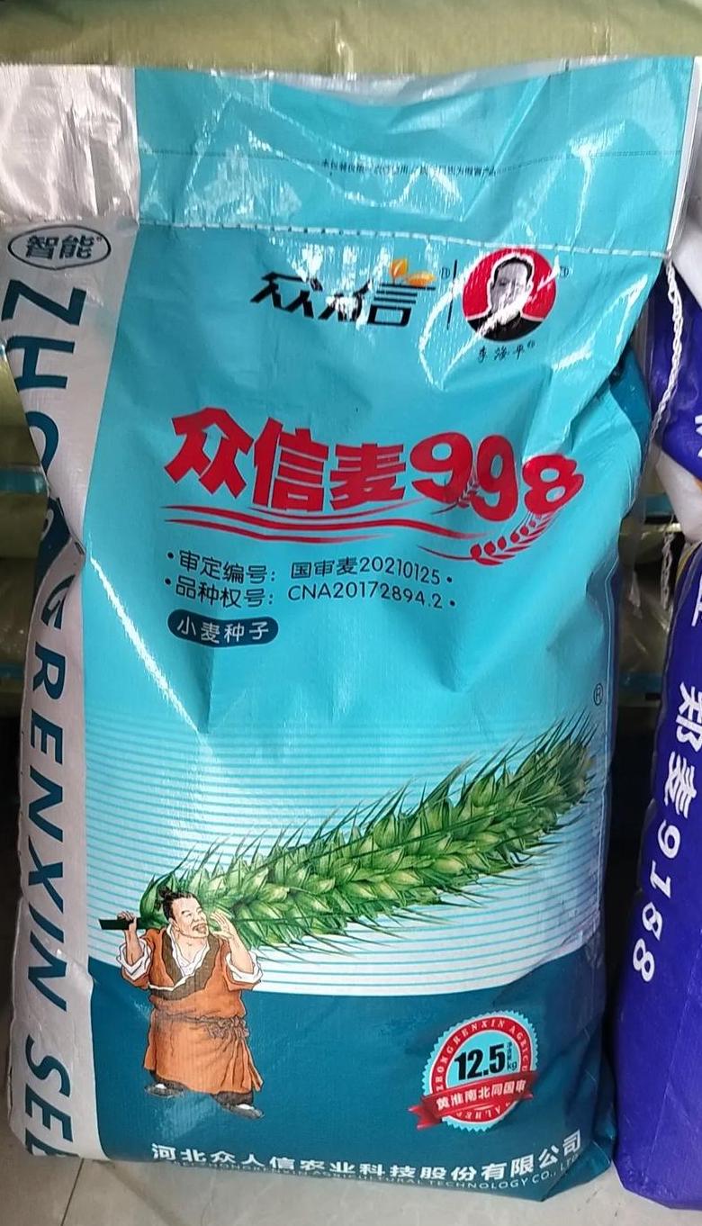 众信麦998与众岱100产量对比：哪款小麦品种更胜一筹？