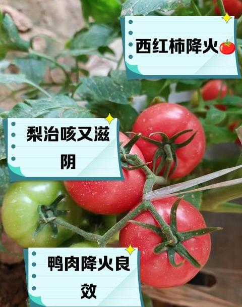 去火水果大盘点：夏日清凉水果推荐