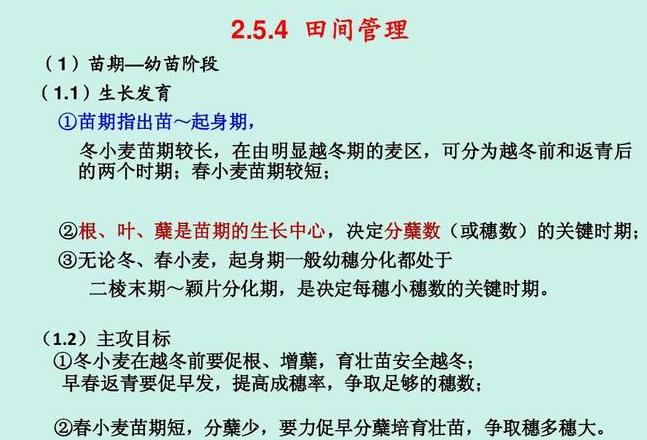 小麦种植时间、方法与计算及产量折算指南