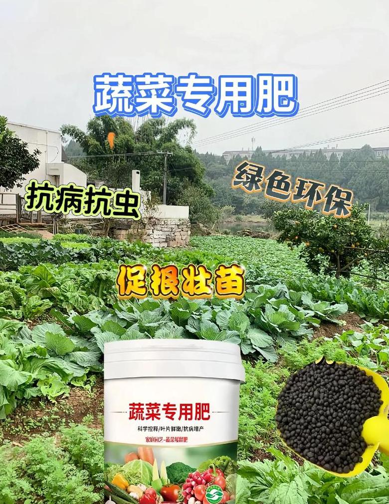 农家肥蔬菜食用时间及安全指南