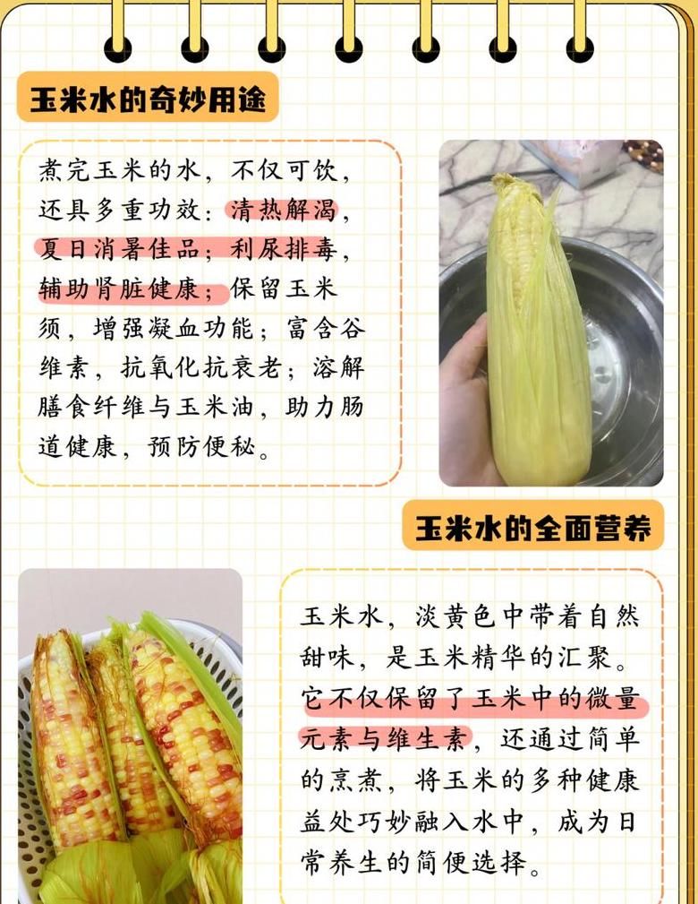 北方玉米成熟时间详解