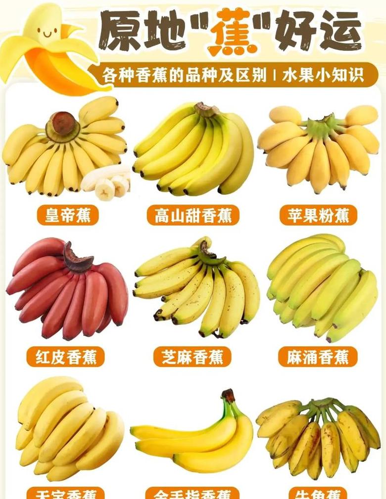 水果寓意盘点：八种吉祥水果meanings