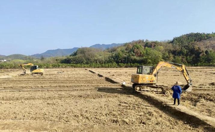 农田耕作层：土壤质量与农业可持续性关键
