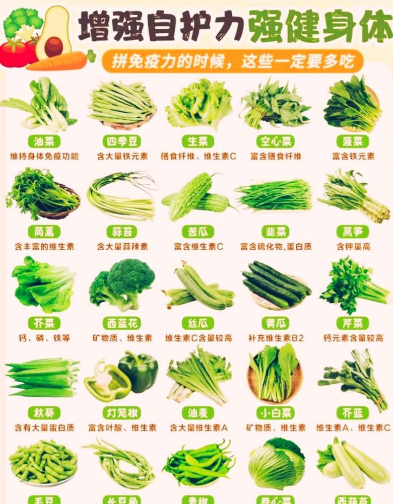 盘点十大营养蔬菜：盘点健康蔬菜排行榜前十名