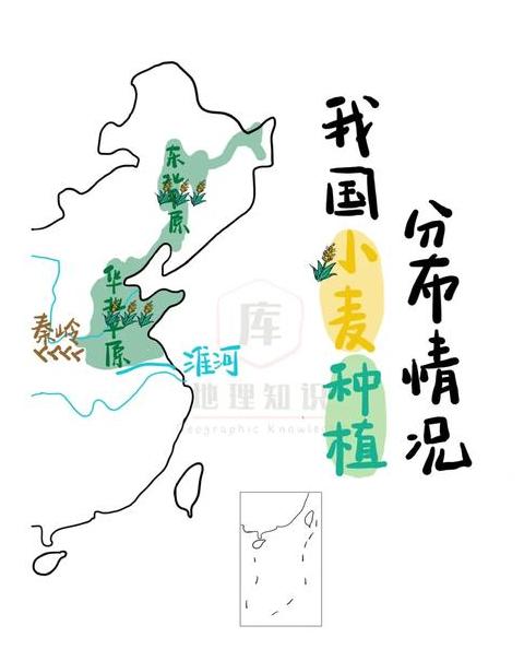 进化距离与亲缘关系：生物进化研究新视角
