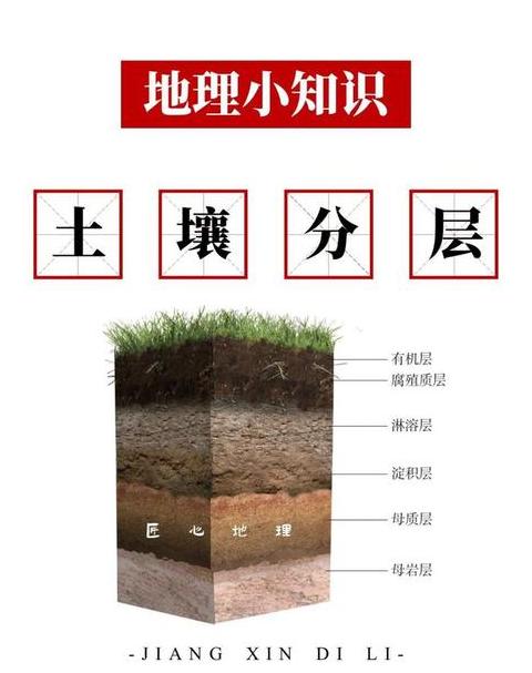 农田耕作层揭秘：土壤质量与作物产量的关键
