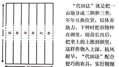 土壤耕作方法详解：基本技巧与辅助措施