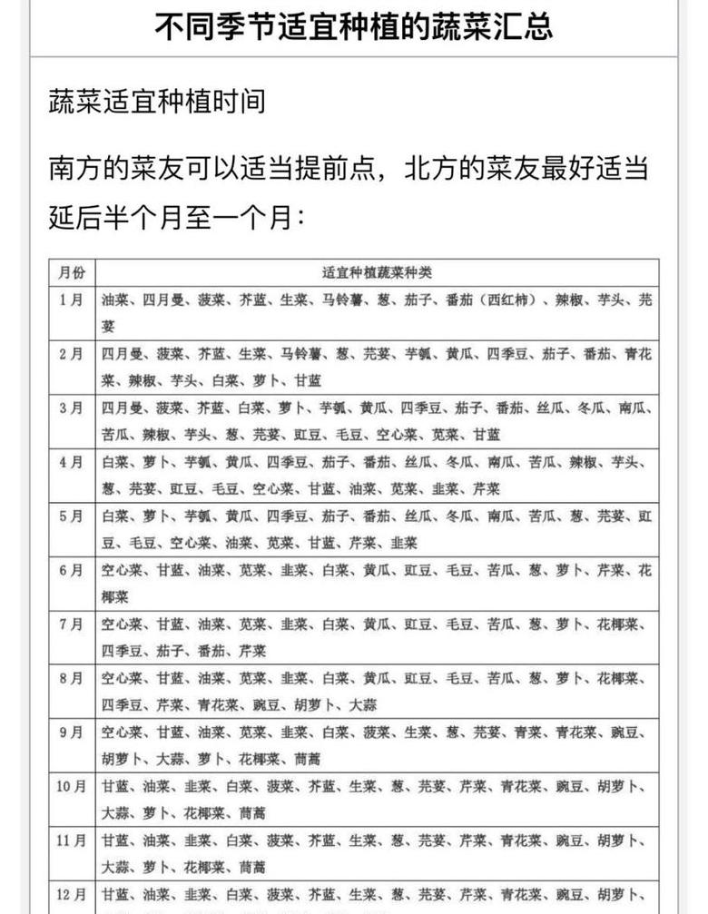 山东露天蔬菜种植最佳时间表