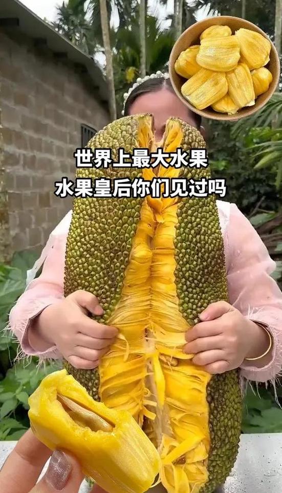 水果之王与皇后：揭秘营养界的佼佼者
