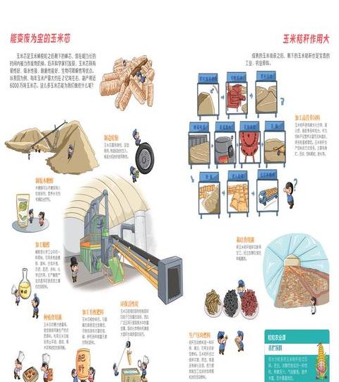 介绍一下玉米的历史起源