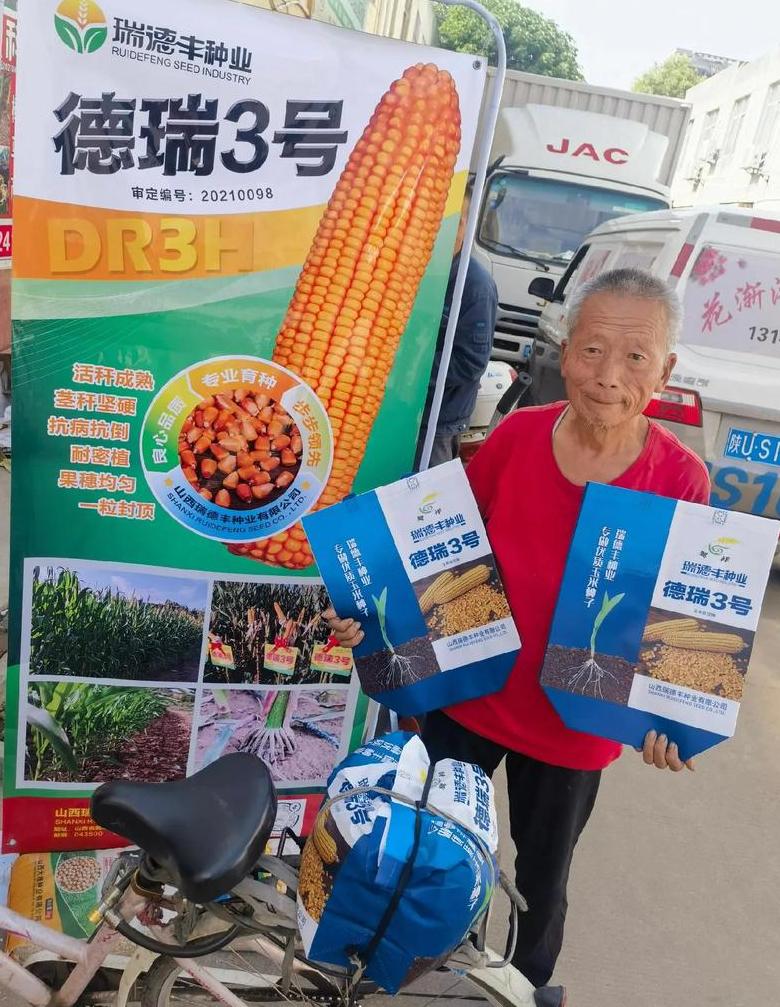 山东十大高产玉米品种推荐