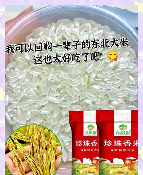 东北稻区水稻品种主要以什么为主
