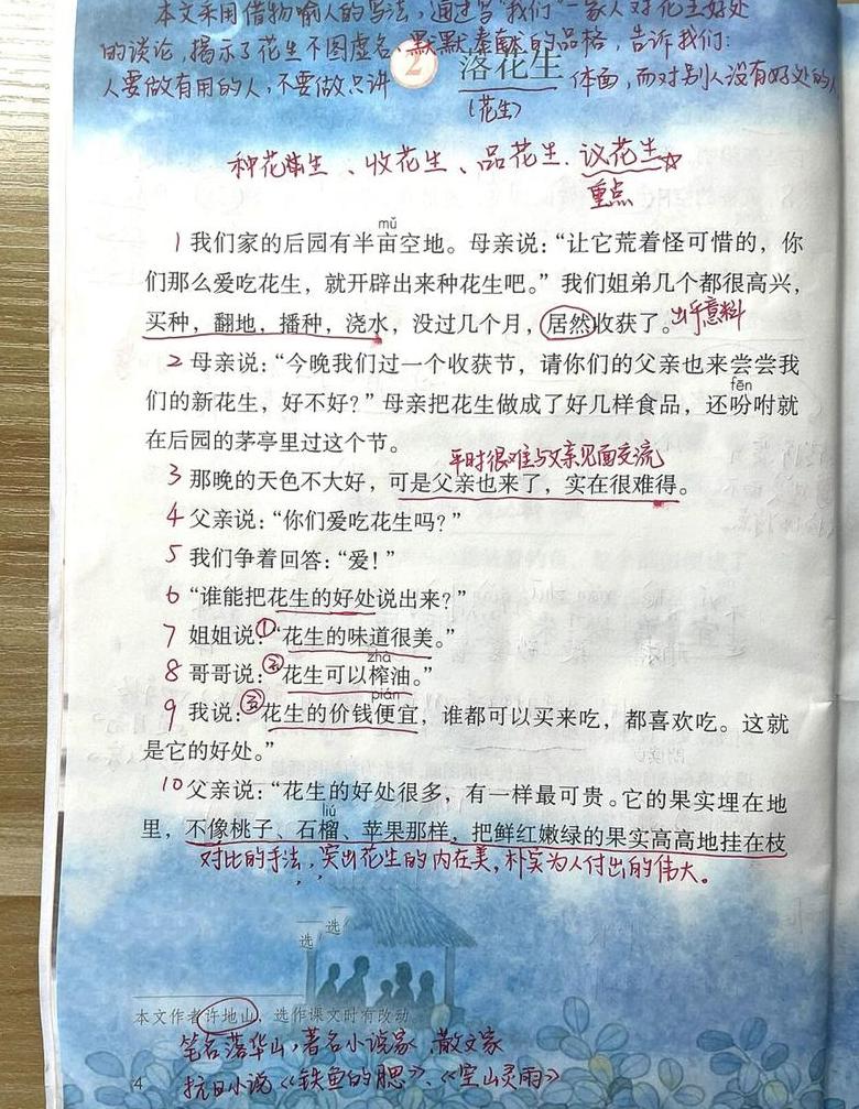 深度解析花生课堂中的启示与思考