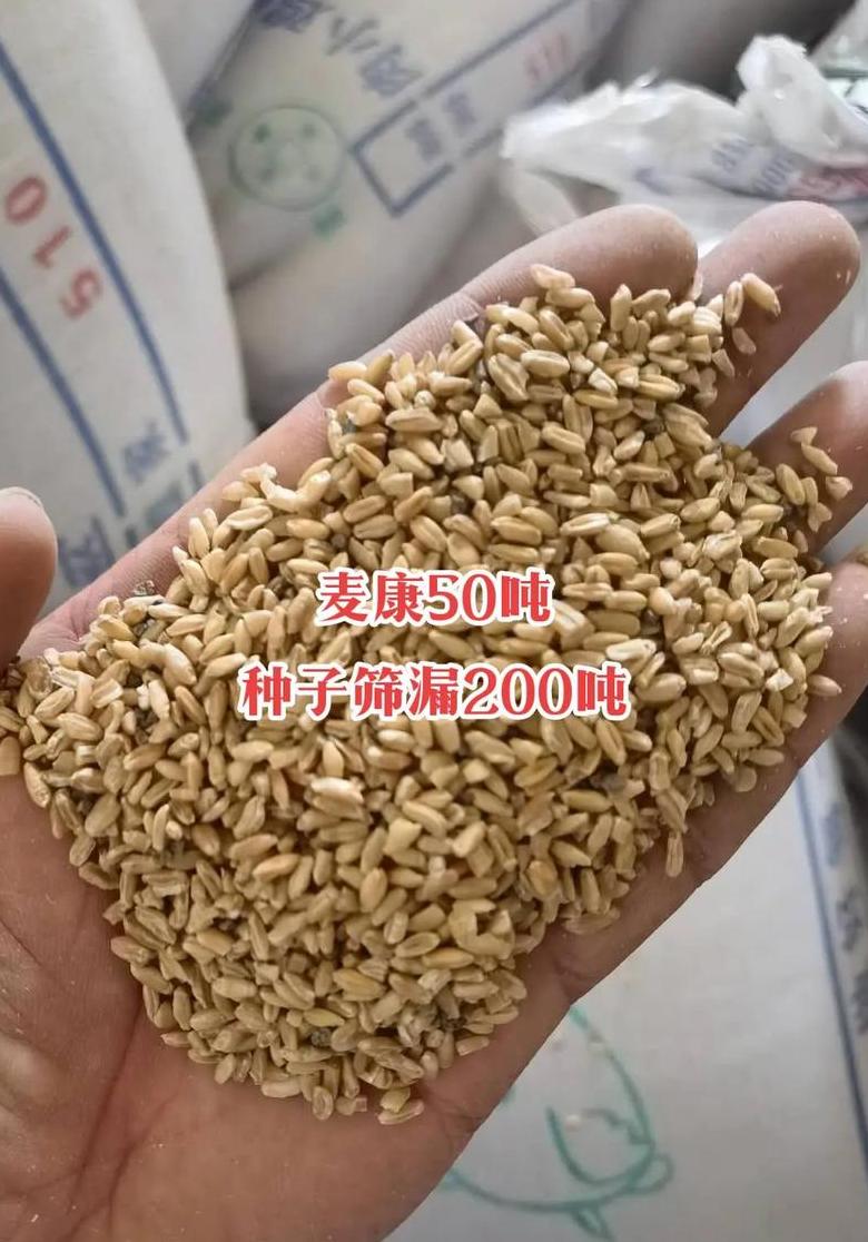 2021年10月玉米价格预测：干玉米最新行情及影响因素分析