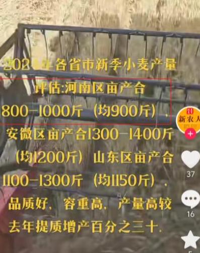 2023河南小麦平均亩产新数据揭晓