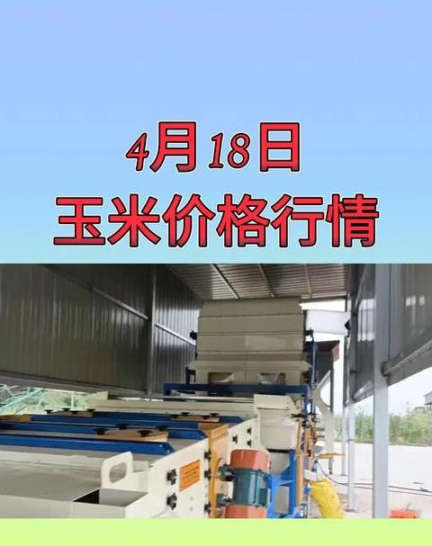 年后玉米价格行情预测