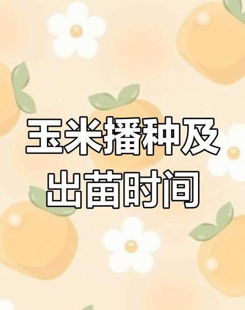 玉米种植最佳时间指南