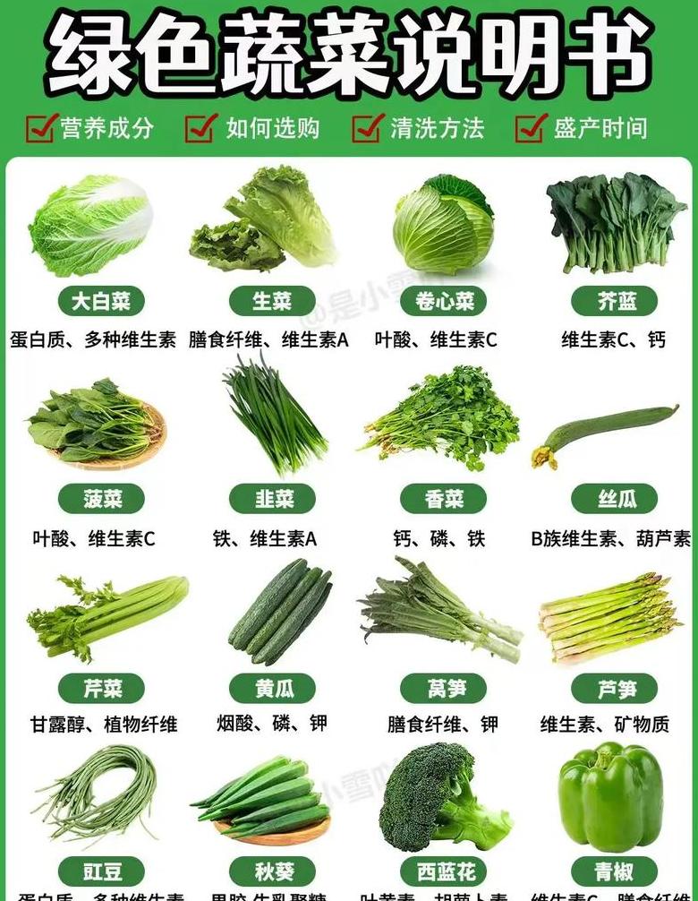 十大营养蔬菜排行榜揭晓