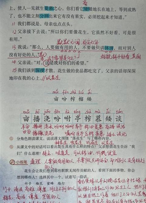 五年级上册落花生课堂笔记讲解