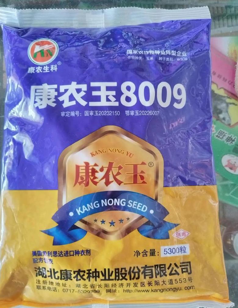 玉米种子高产第一名的品种