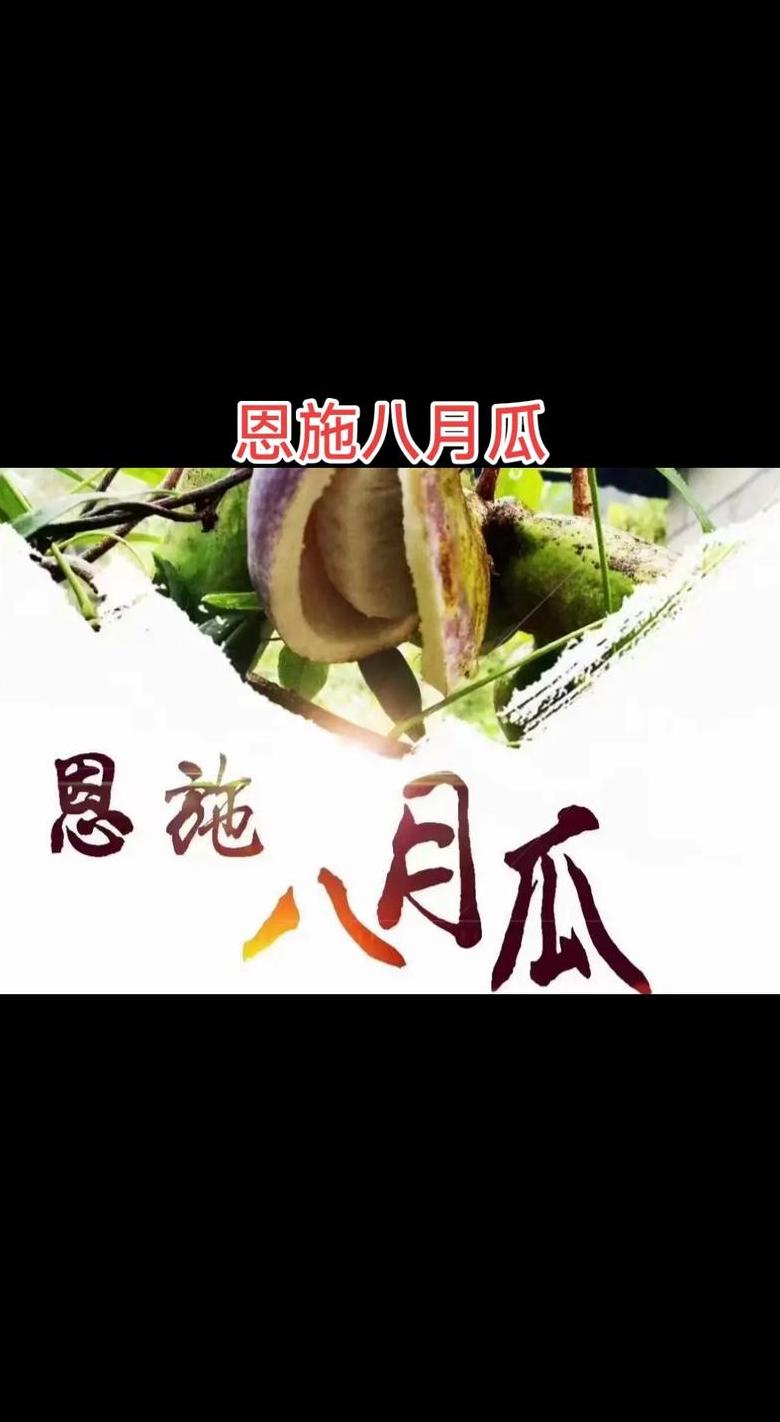 八月吃什么水果好吃
