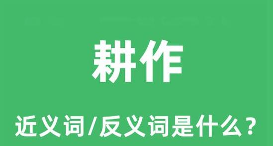 耕作词汇解析：近义词与反义词一览