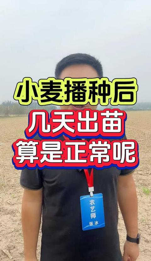 济麦22播种量标准探讨：亩播35斤是否适宜？