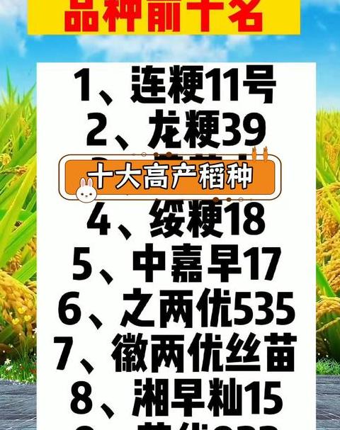 杂交水稻产量揭秘：一亩能产多少斤？