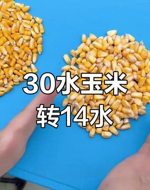 玉米水分含量与储存时长关系解析
