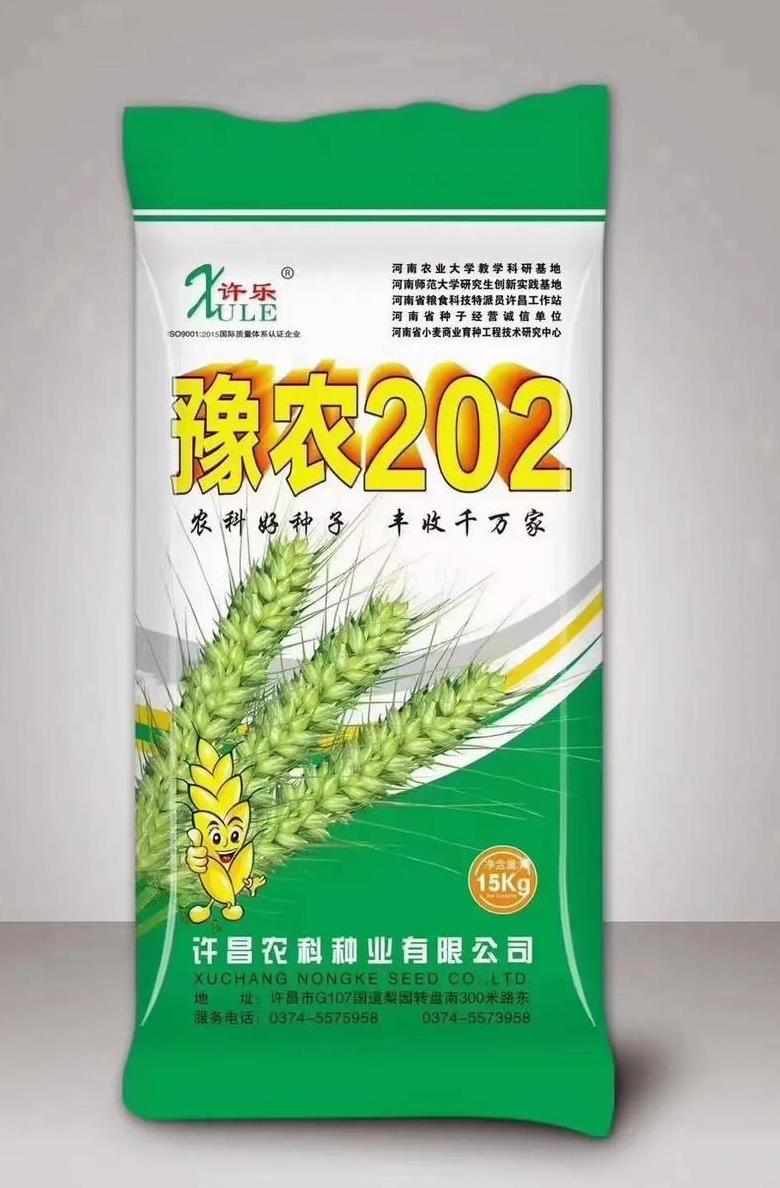 河南小麦种子品牌盘点：十大品种推荐