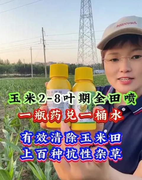玉米播种后要浇大水吗