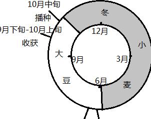土壤耕作方法详解及基本措施盘点