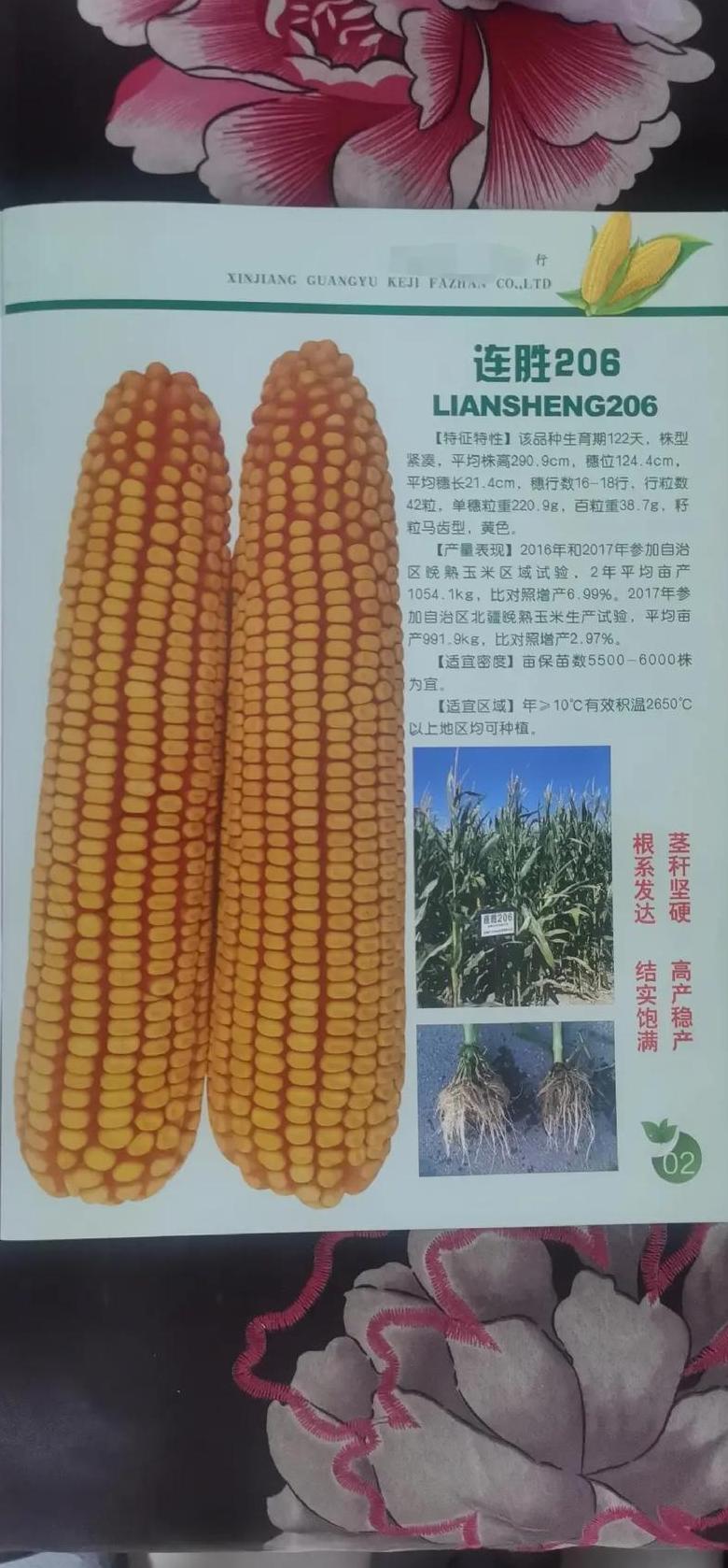 创玉820玉米种子简介