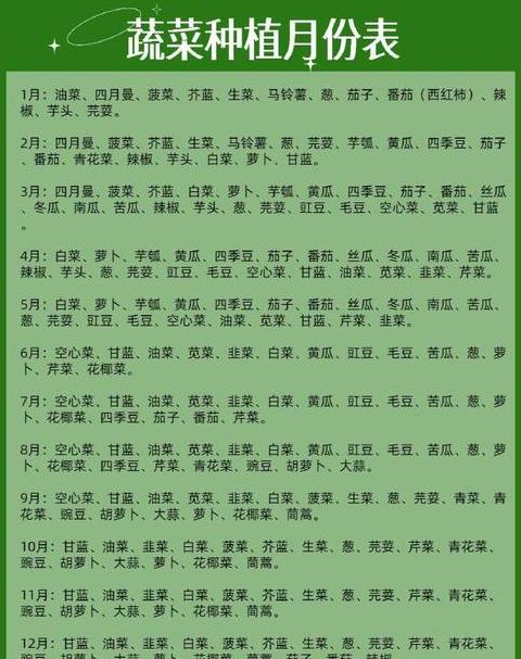 南方10月蔬菜种植指南：盘点适合播种的蔬菜种类