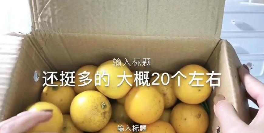 快递新鲜水果攻略：包装、温度与快递公司选择全解析