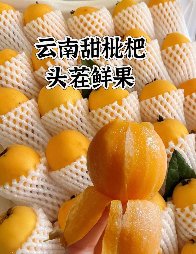 云南特色水果种植地图大揭秘