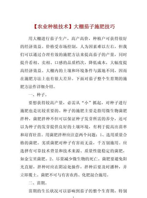 茄子种植肥料选择与施用技巧