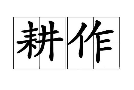 耕作拼音及用法详解