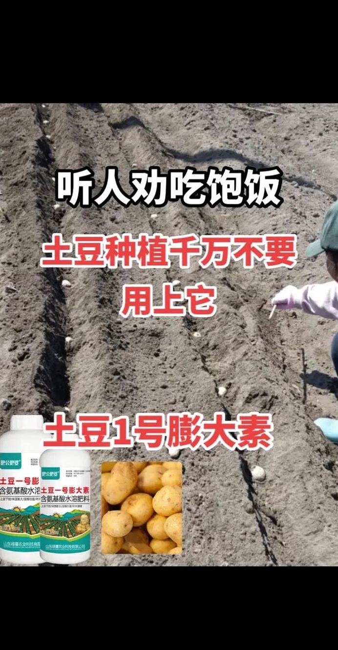 马铃薯种植肥料选择与用量指南